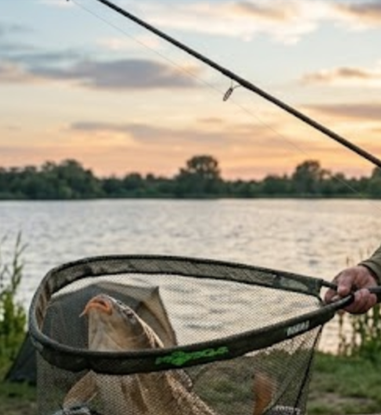 Set di ami carp fishing - Image 2